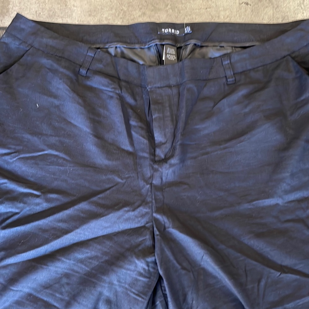 Never worn dress/work slacks. Rayon/spandex material